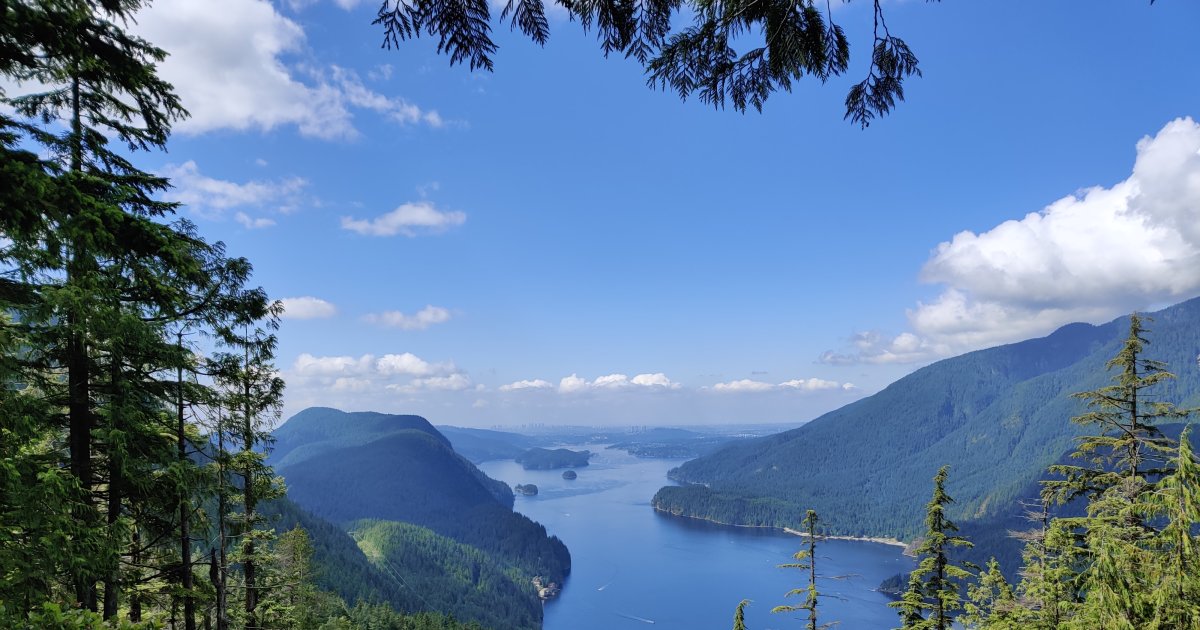 2-Hour Chartered Boat Tour on Indian Arm from Deep Cove