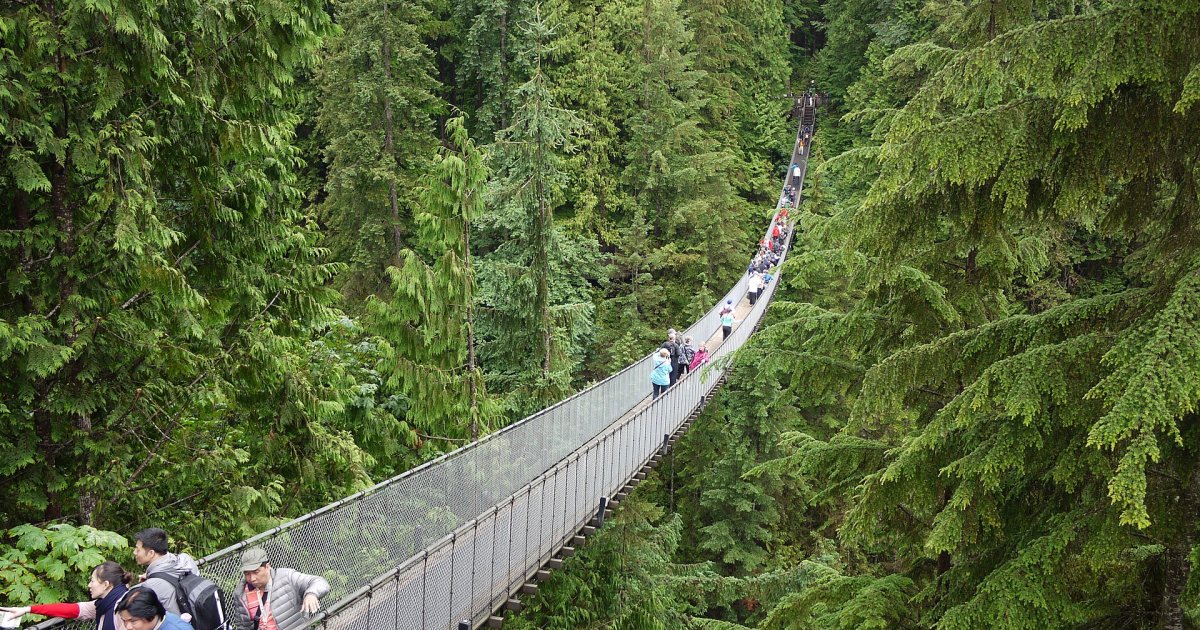 Vancouver: Capilano Suspension Bridge Park & City Tour