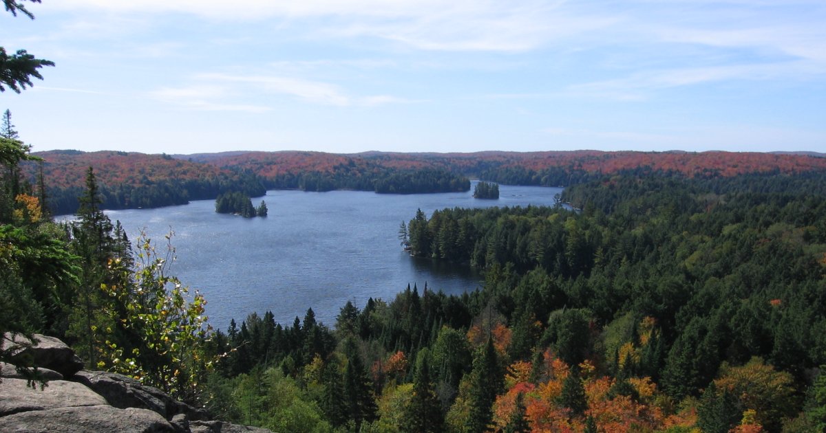 Algonquin Provincial Park Day Trip from Toronto